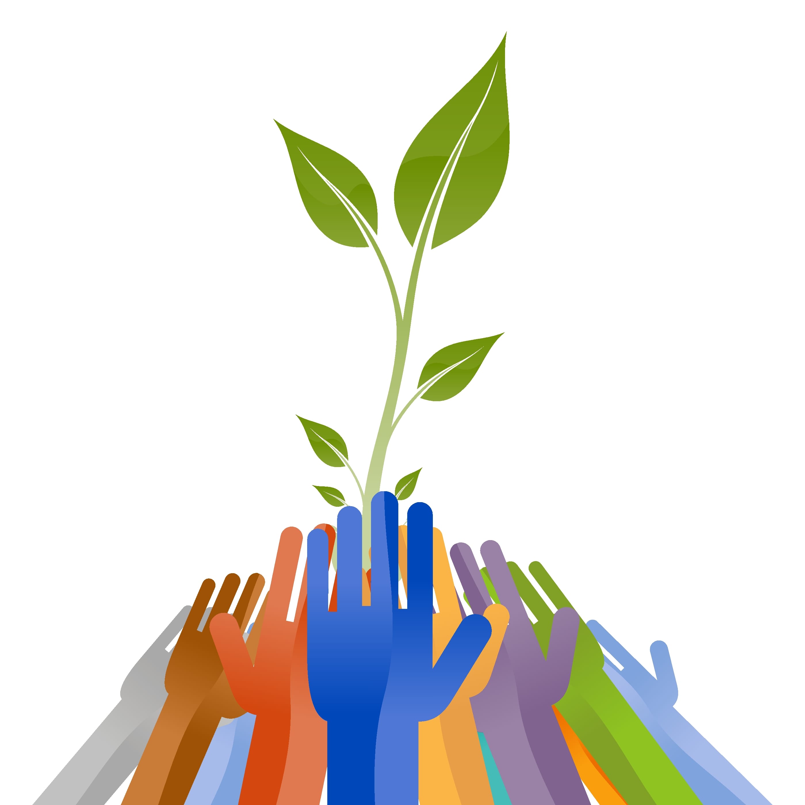 organisational growth