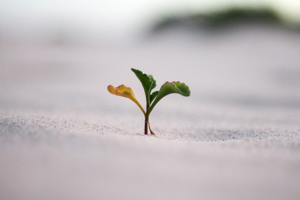 jeremy bishop vGjGvtSfys4 unsplash