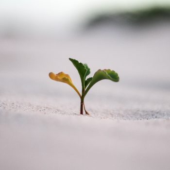 jeremy bishop vGjGvtSfys4 unsplash
